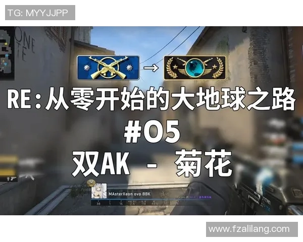 深度探讨杨静在CSGO世界中的成长与挑战之路