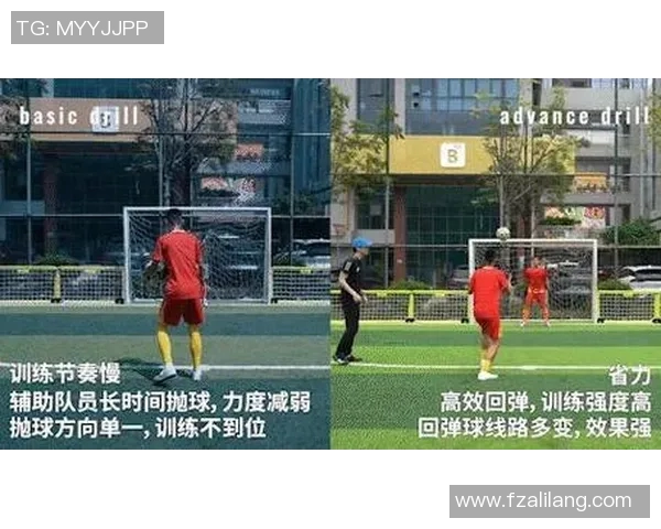 西安网球队实力分析：聚焦训练与比赛表现的全面探讨